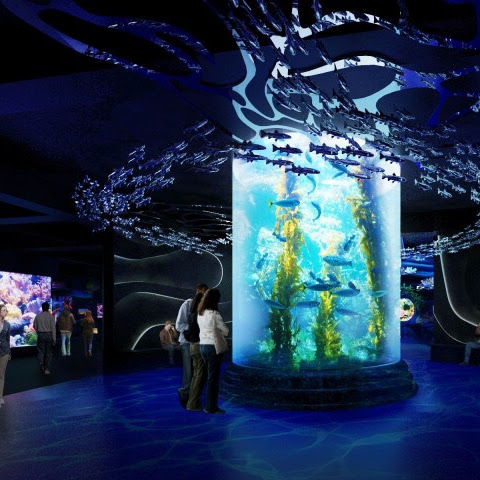 Jakarta Aquarium Indonesia, Sensasi Berpetualang di Bawah Laut