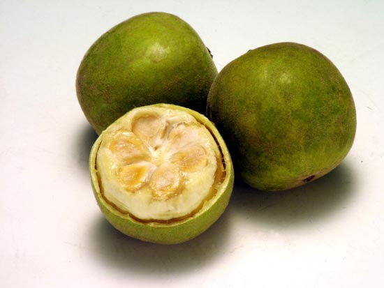 فوائد فاكهة مونك او فاكهة الراهب Monk Fruit