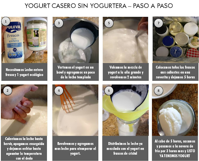 Yogurt%2BCasero.jpg