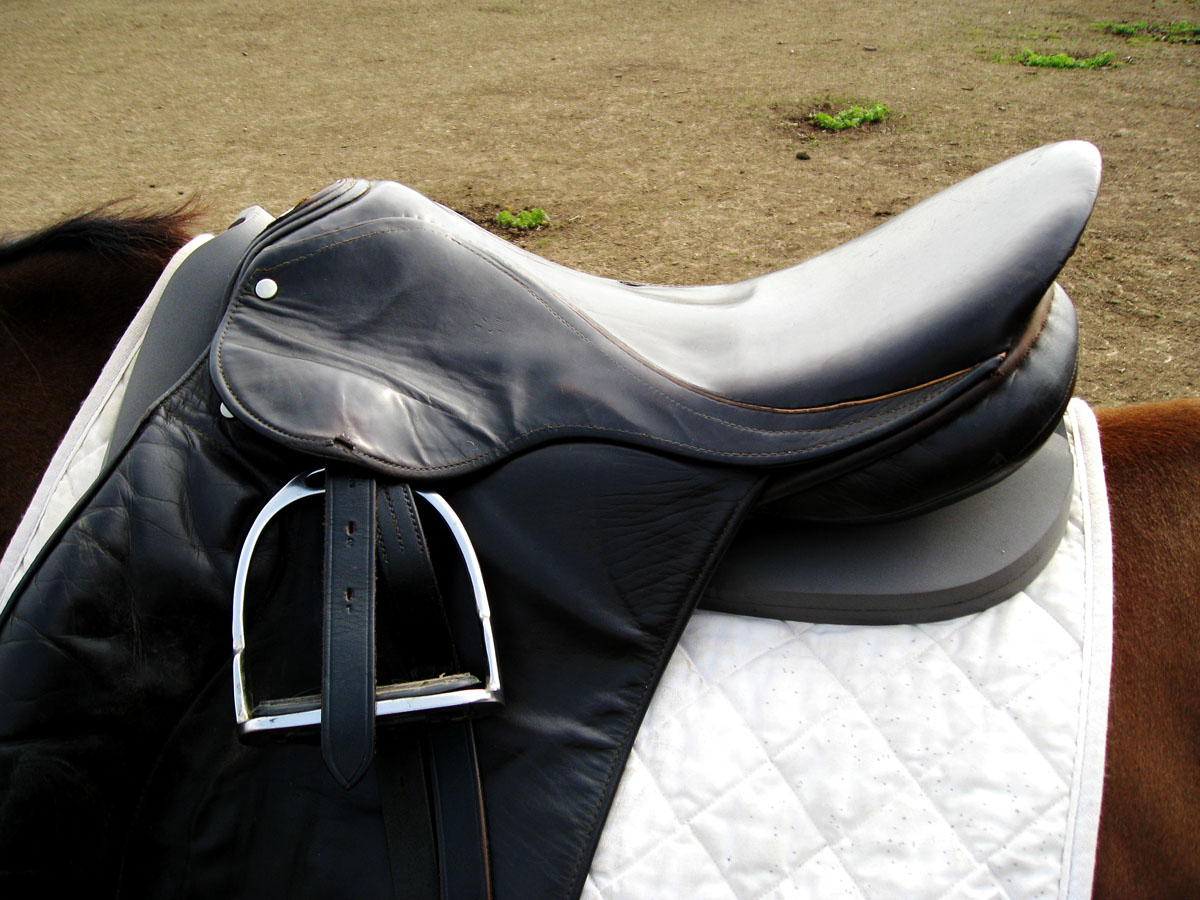 My Equestrian World Wintec Rear Riser Saddle Pad Review