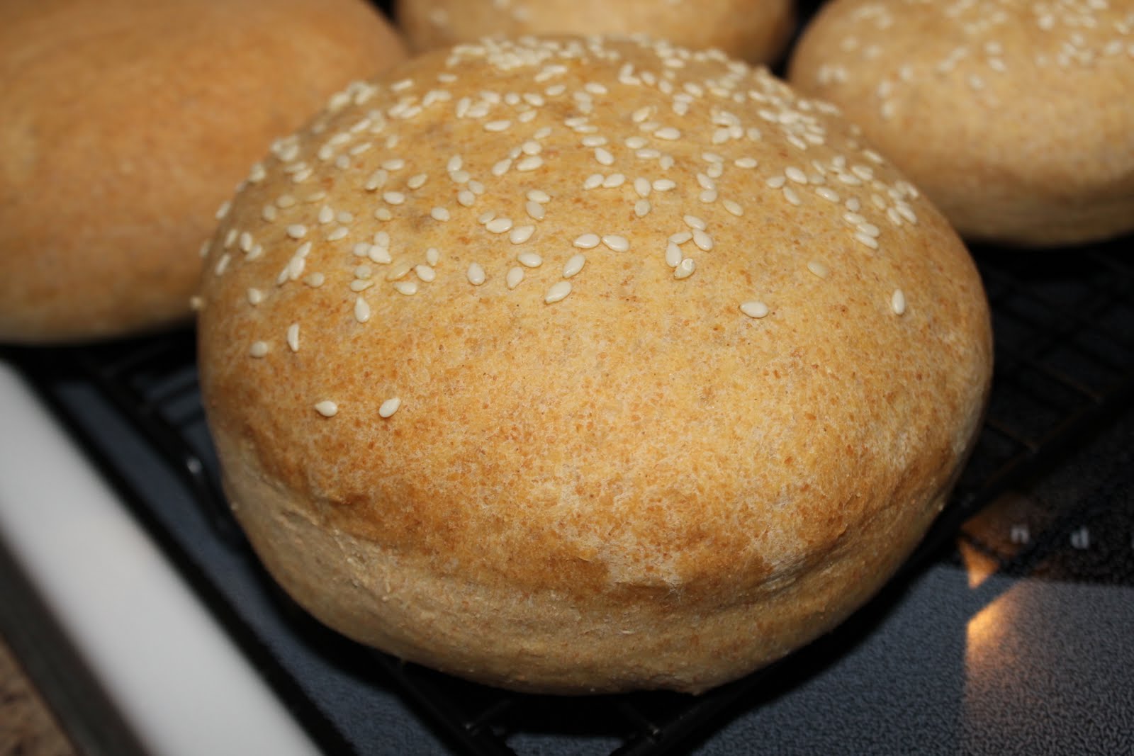 RisC Handmade Homemade Whole Wheat Hamburger Buns