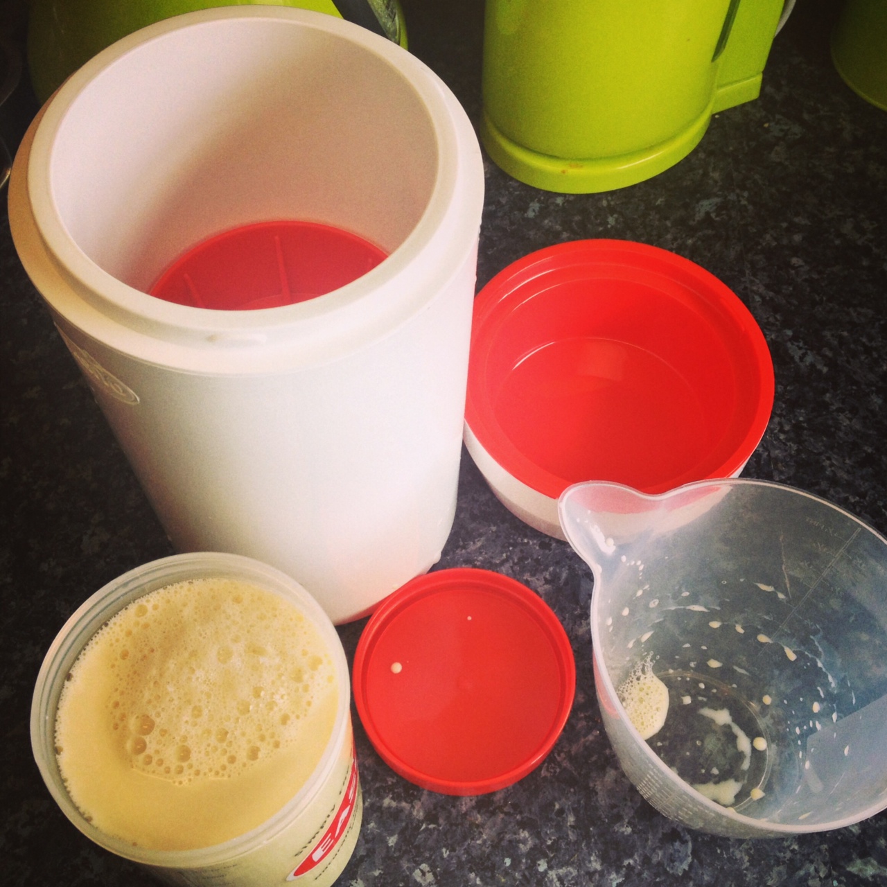 Vegan Bear Homemade Soya Yoghurt