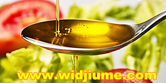 Inilah Makanan Berlemak Yang Baik Untuk Kesehatan