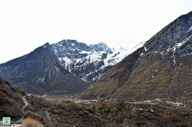 Trekking Valle del Langtang, Nepal