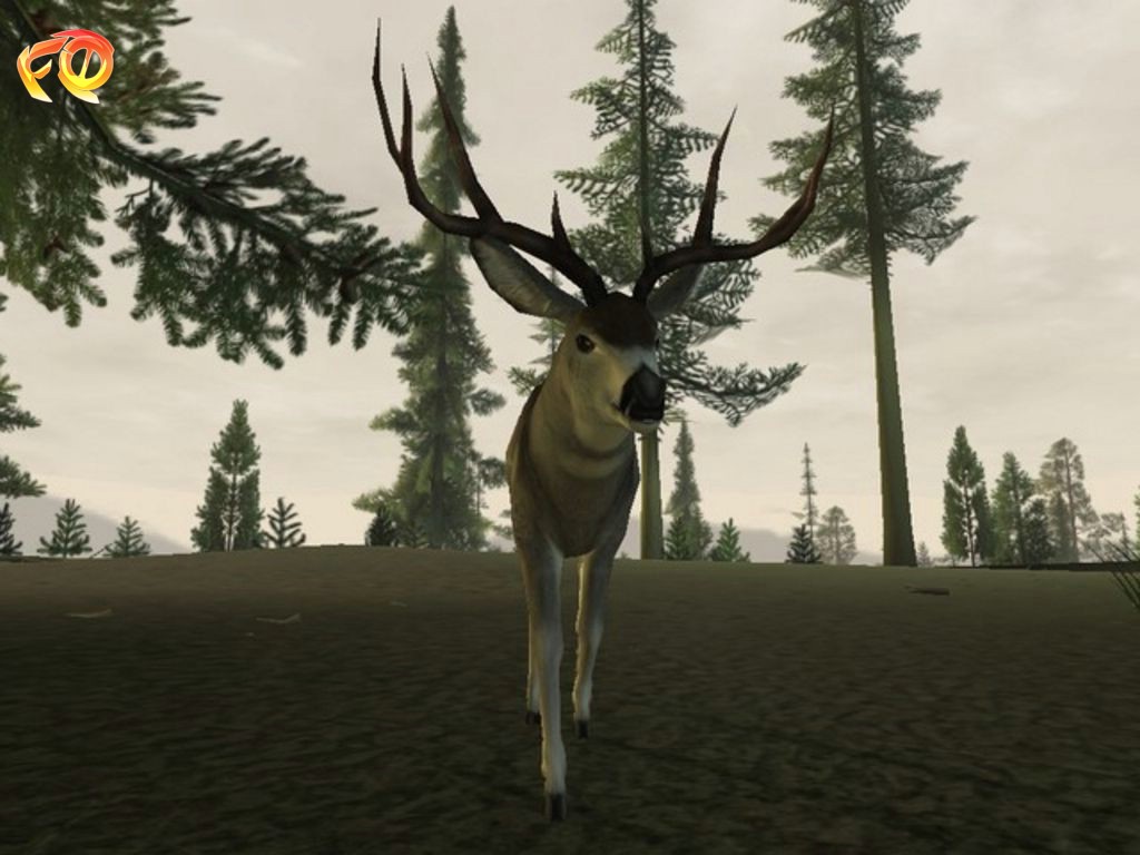 Deer Hunter 2005 [PC Game]