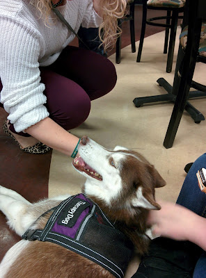Therapy Dog visit to a local college Stress Buster event
