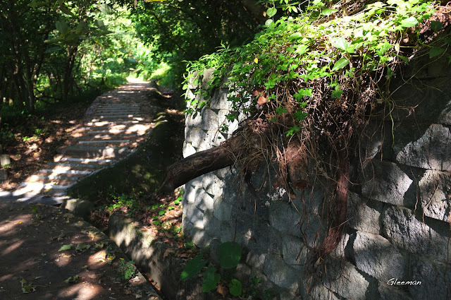 雞南山，自從上次颱風過後，有些斷樹殘枝橫在邊坡或頭上，經過時請小心注意。