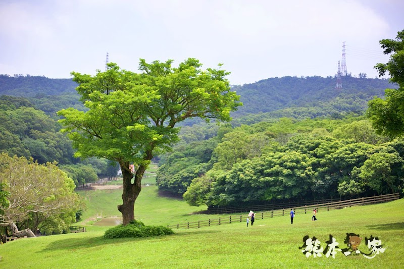 一秒到歐洲|苗栗飛牛牧場|最美牧場和大草原~野餐嬉戲觀乳牛、人工濕地護自然