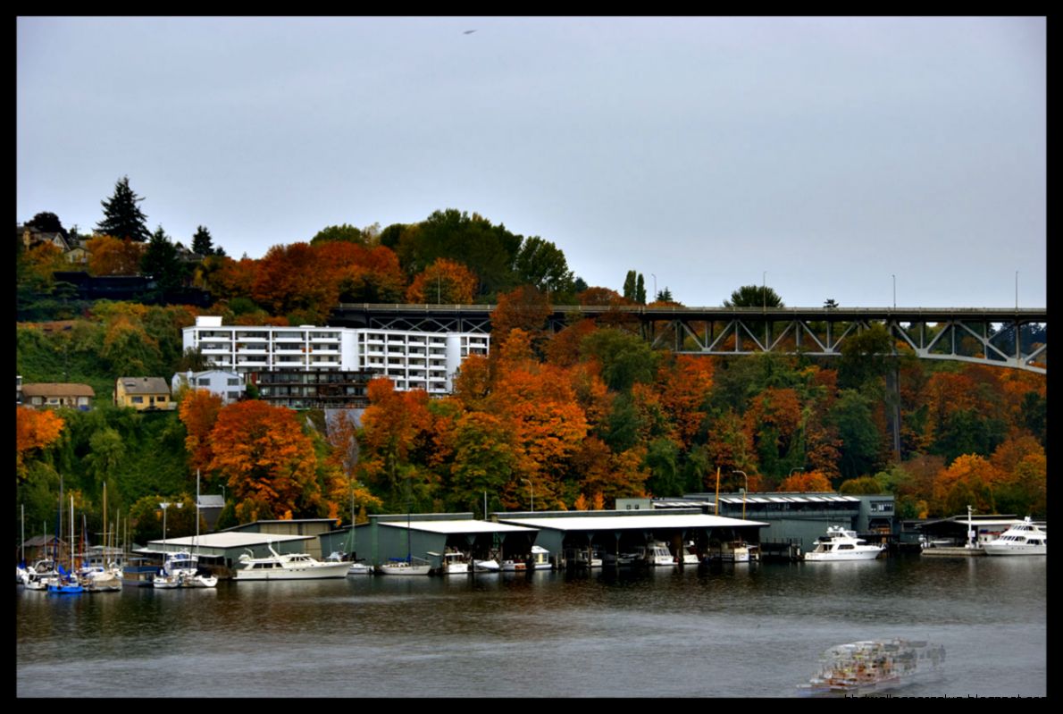 Seattle tourism  Photography Forum