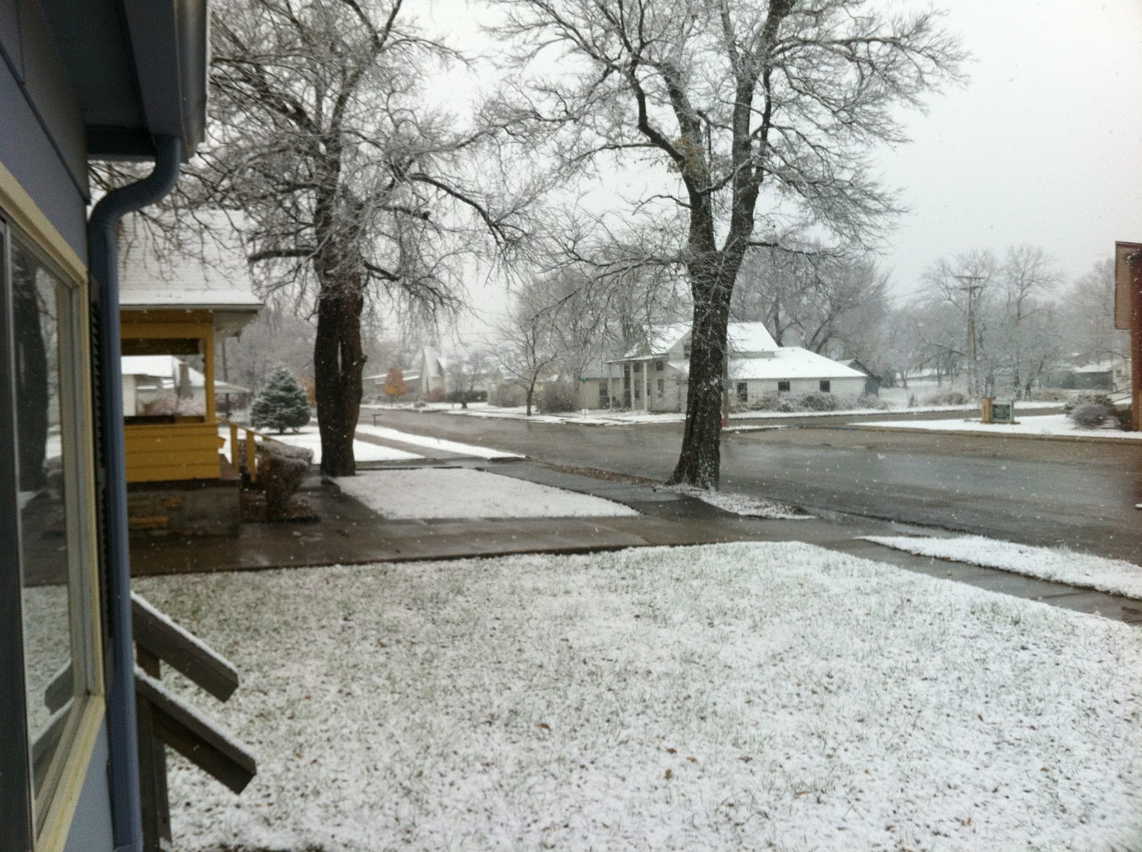 Kansas Pheasant Hunt