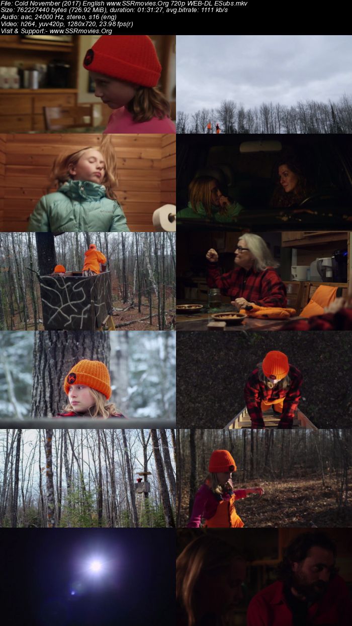 Cold November (2017) English 720p WEB-DL