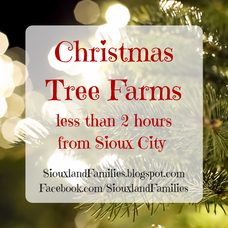 Christmas Tree Farms Near Sioux City