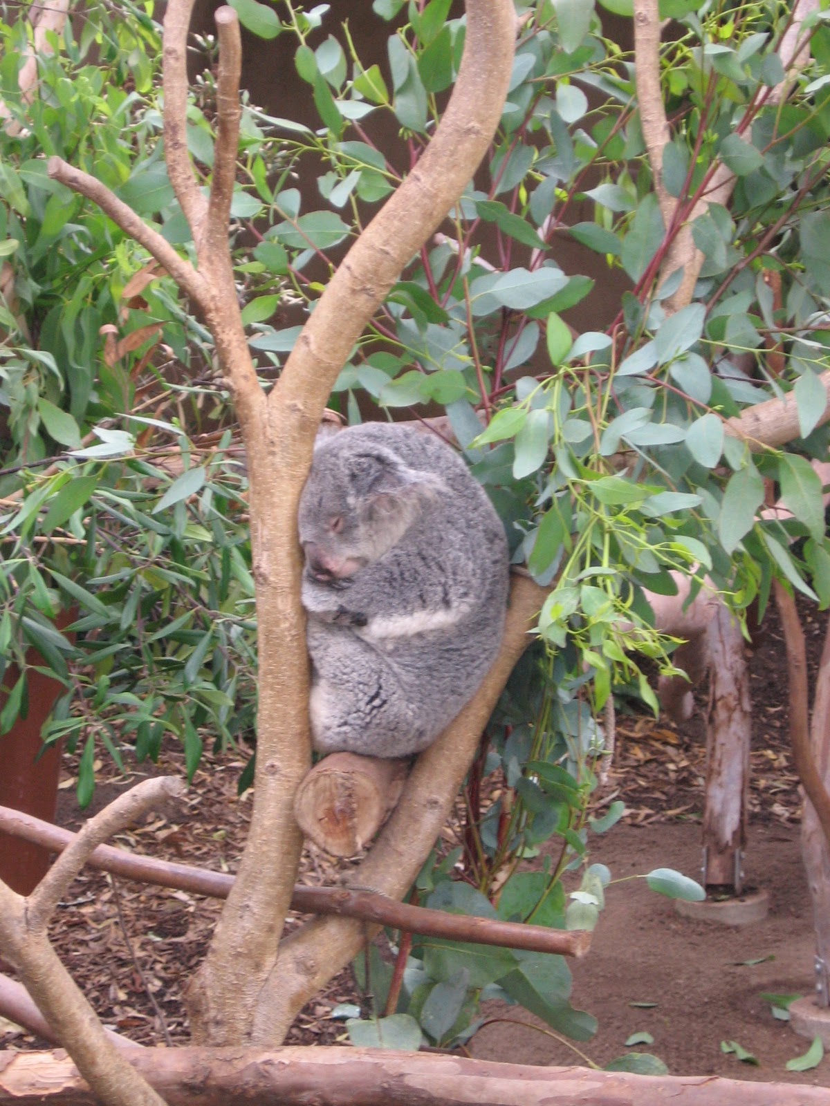 Trips With Angie Blog July 2017