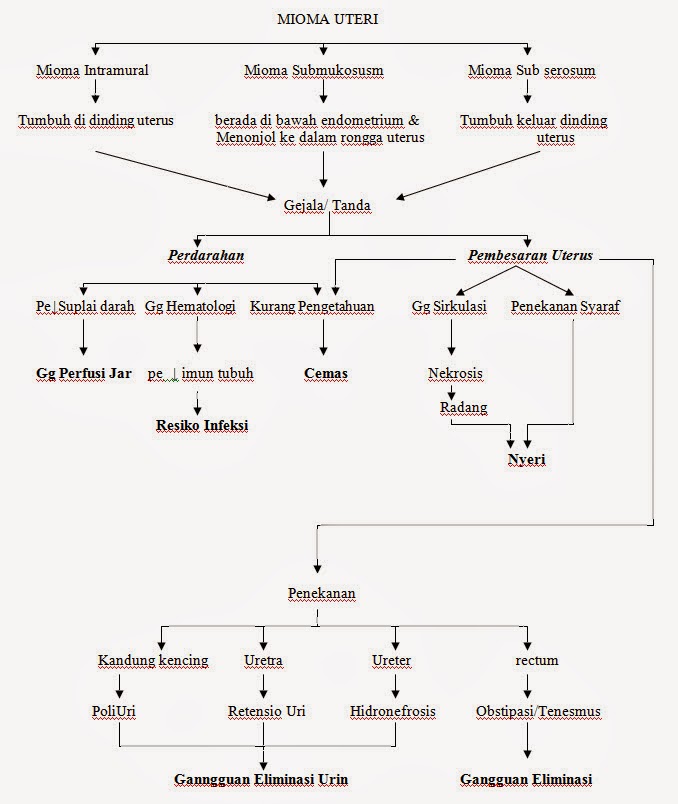 Get Mioma Uteri Submukosa Pics Pbsafety