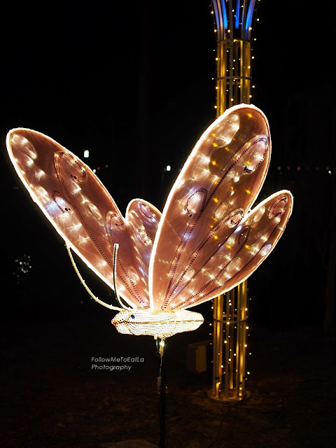 Attractive-Looking Butterfly Lantern 