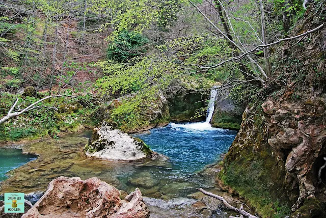 Nacedero del Urederra, Navarra