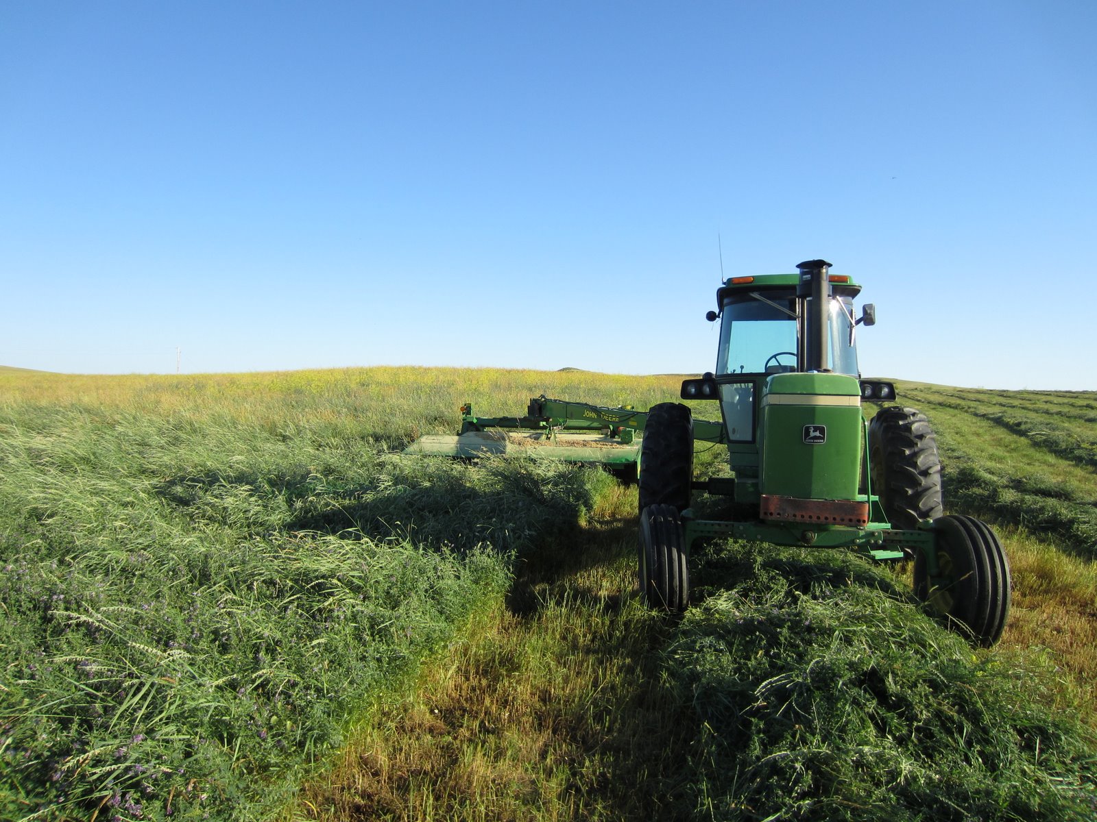 Wings on the Ranch Cutting Hay