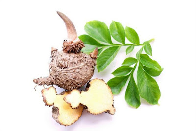 Konjac ou Glucomanano