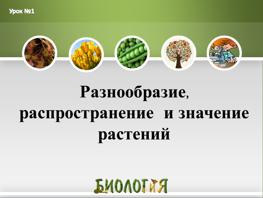 Распространяется значение. Разнообразие и распространение растений. значение и распространение растений. разнообразие и значение растений. многообразие и значение растений.