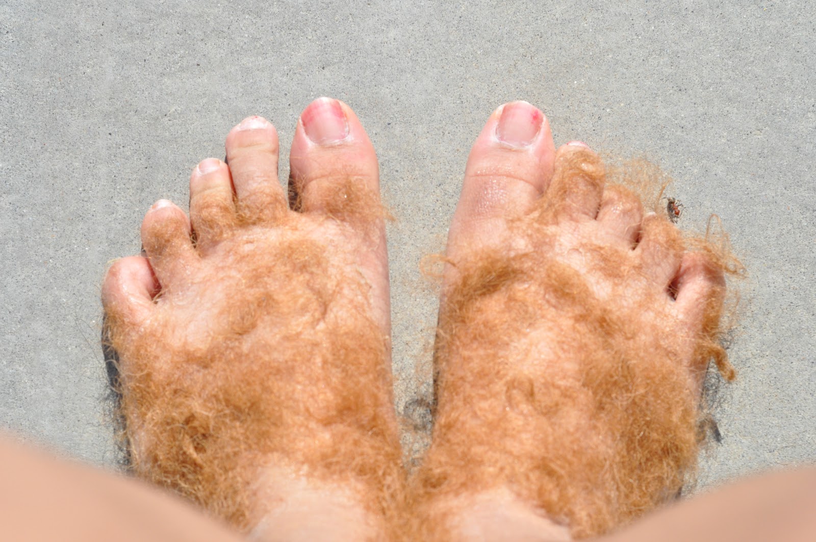 Nibs Burrows Food and other things! Hobbit Feet + Bearclaw!