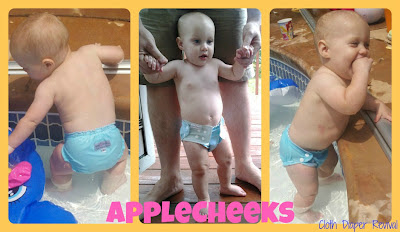 AppleCheeks Swim Diaper