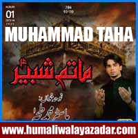 http://ishqehaider.blogspot.com/2013/11/muhammad-taha-nohay-2014.html