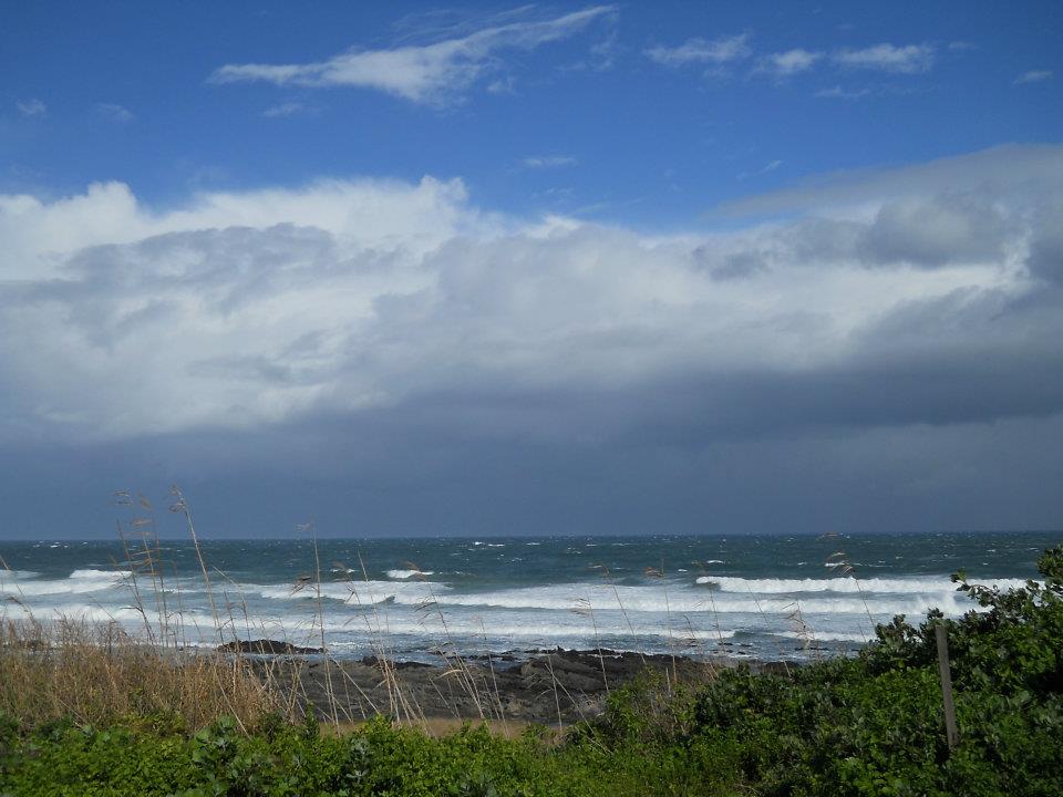SA Weather and Disaster Observation Service Weather Observation Port