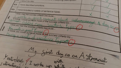 Primary Ideas: What Peer Marking Can Tell You About the Marker