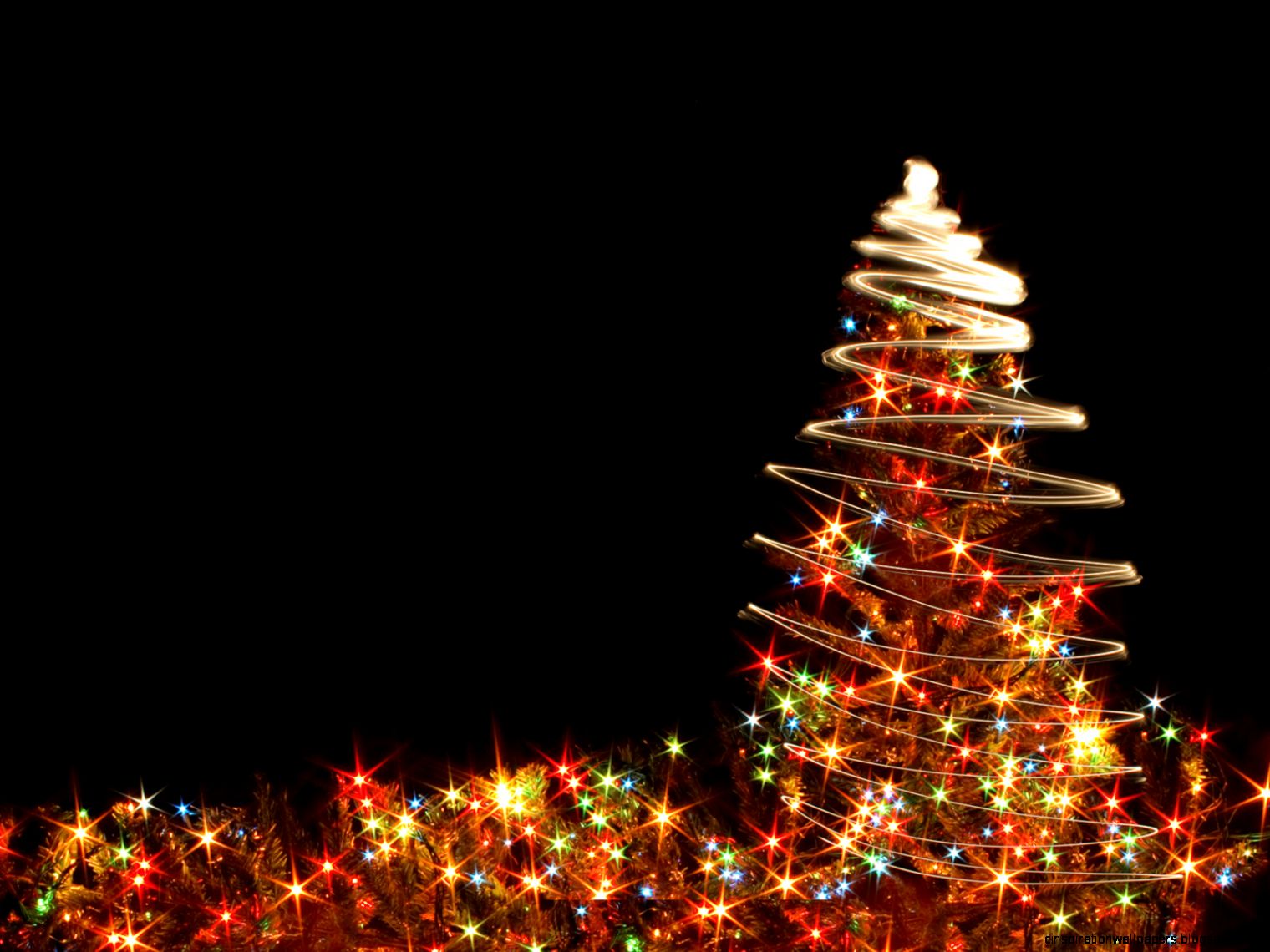 Christmas Tree Lights