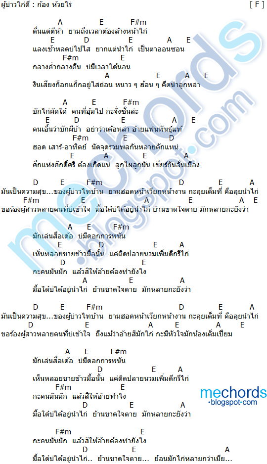 คอร์ดเพลง-ผู้บ่าวไก่ตี-ก้อง ห้วยไร่