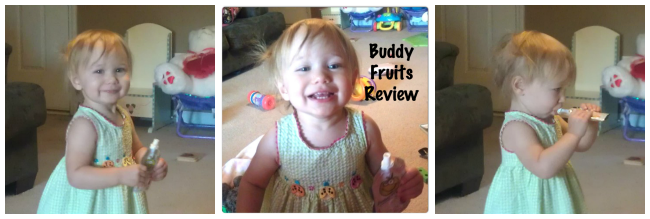 Buddy Fruits Review