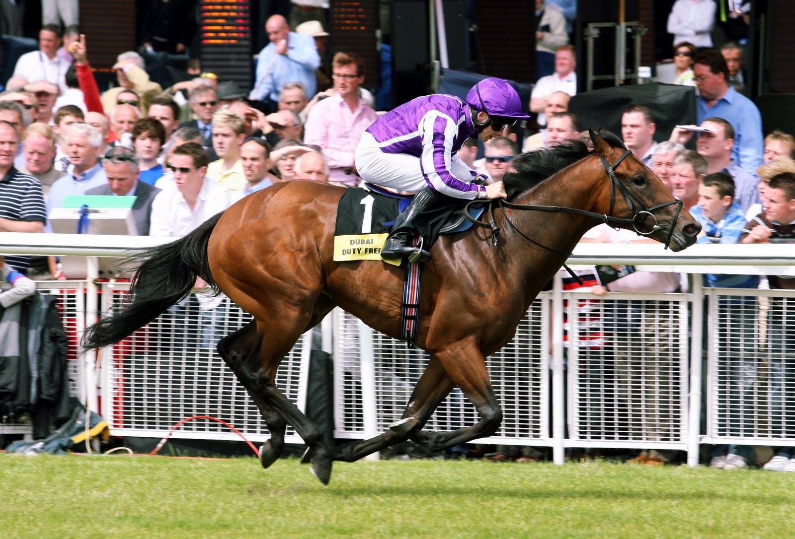 Eliza Park BUSHRANGERS RIDE HIGH AT GOFFS eliza-park-bushrangers-ride-high-at-goffs