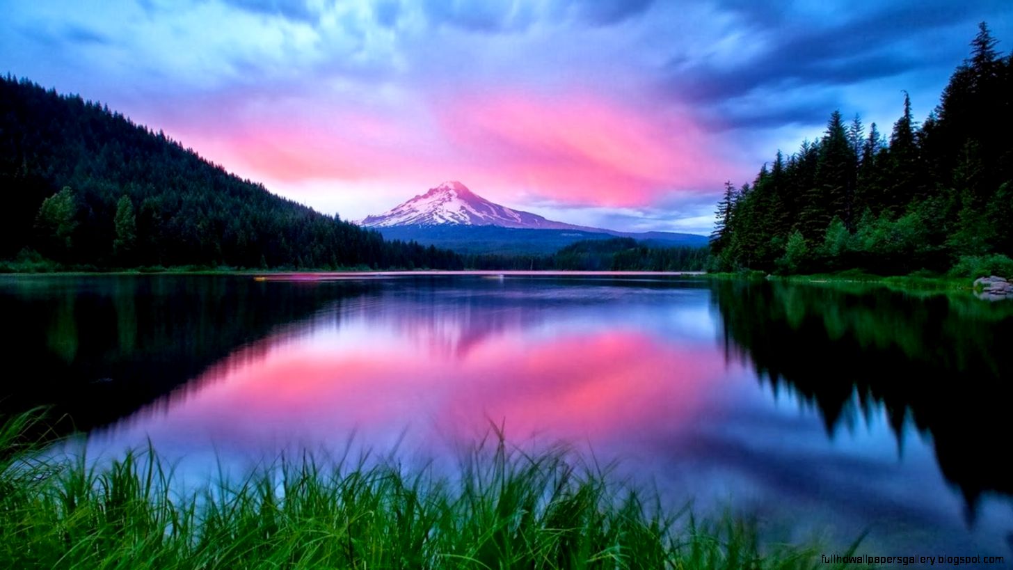 Latest HD Nature Wallpaper Backgrounds Free Download