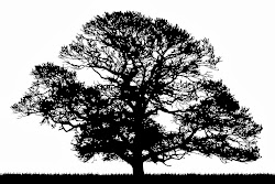 silhouette tree oak couple under clip clipart been fanatics stop diversifying willing wing late take