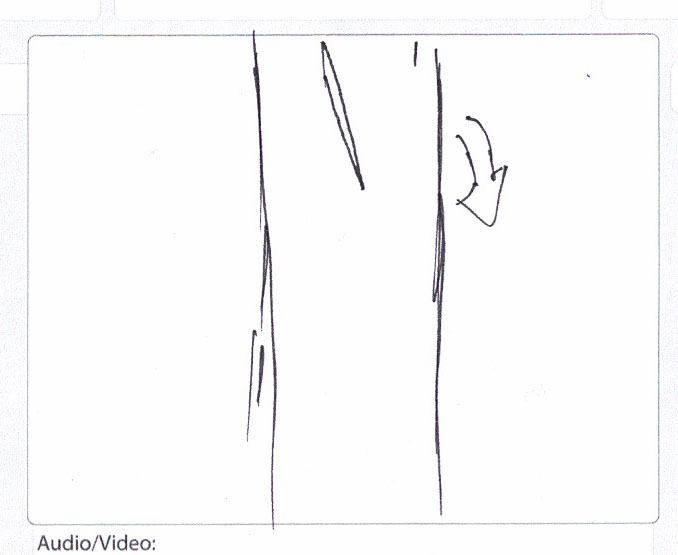PRINT TO PIXEL: toothpick animation