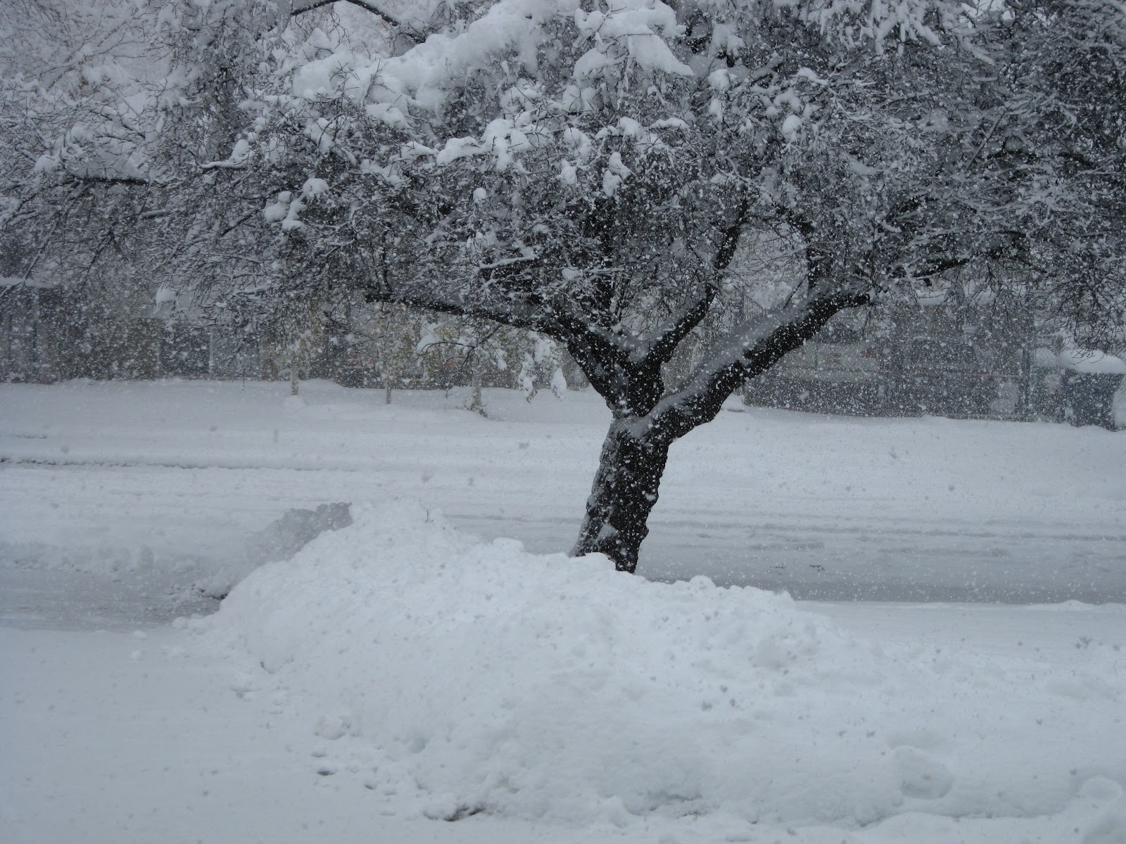 Lawlor Clan Yup it does still snow in Utah (sometimes)