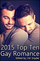 2015 Top Gay Romances