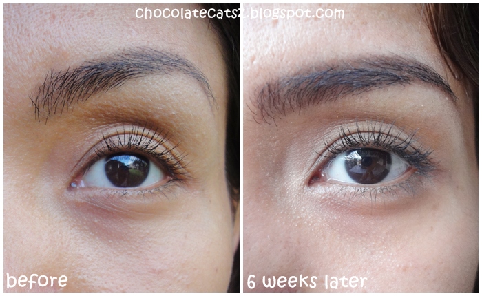 Chocolate Cats: Review: Clinique Better Circle Corrector