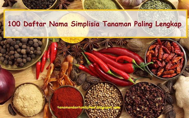 Daftar Nama Simplisia Paling Lengkap Daftar Nama Simplisia Paling Lengkap