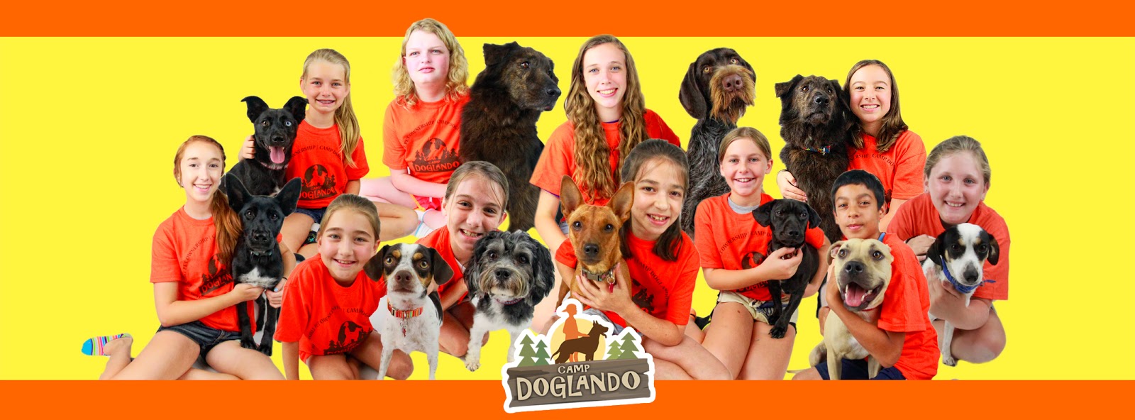 The Doglando Blog Orlando Dog Grooming Orlando Dog Training Dog