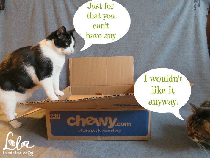 only natural pet|chewy influencer|powerpate