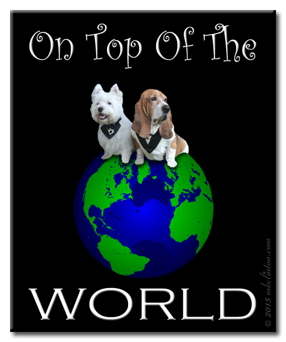 Basset Hound & Westie sitting on top of the world