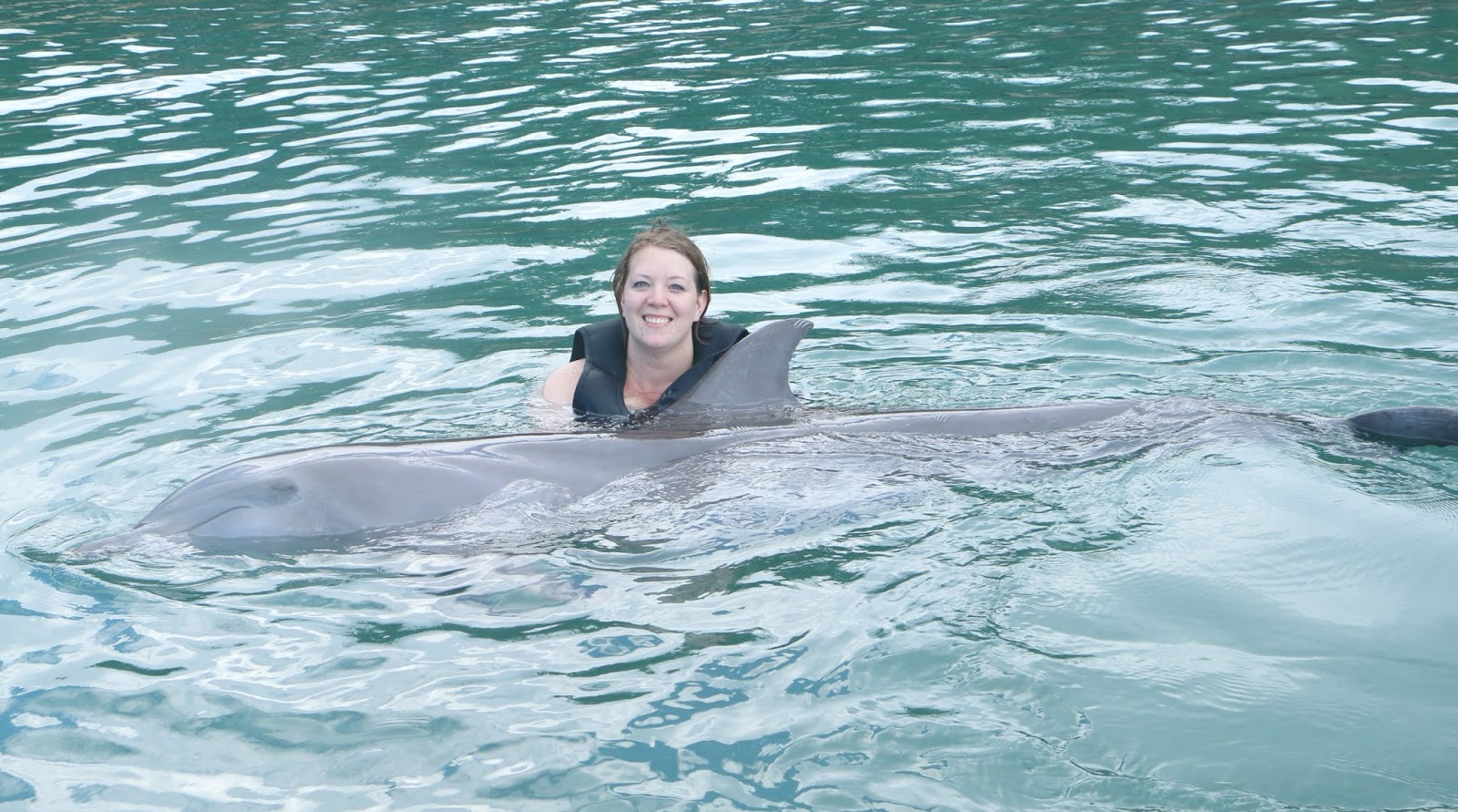 Island Routes Dolphin Swim at Dolphin Cove Building Our Story