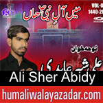https://www.humaliwalyazadar.com/2018/09/ali-sher-abidy-noha-2019.html
