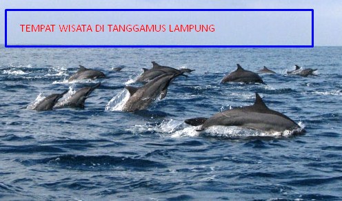 Tempat Wisata di Tanggamus Lampung yang Paling Banyak Pengunjung