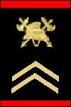 sergeant 