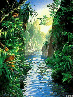 imagenes de mejores jugadores: imagenes de paisajes con movimiento