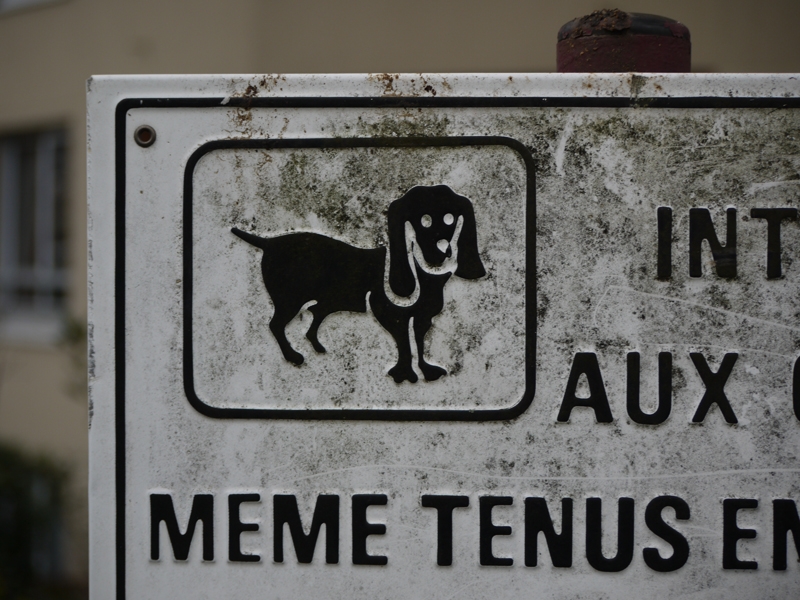 Interdit Aux Chiens Et Aux Italiens Annecy la pension mermonts: Interdit aux chiens