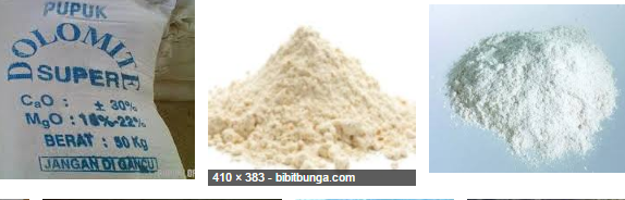 MANFAAT KAPUR DOLOMIT PADA TANAMAN