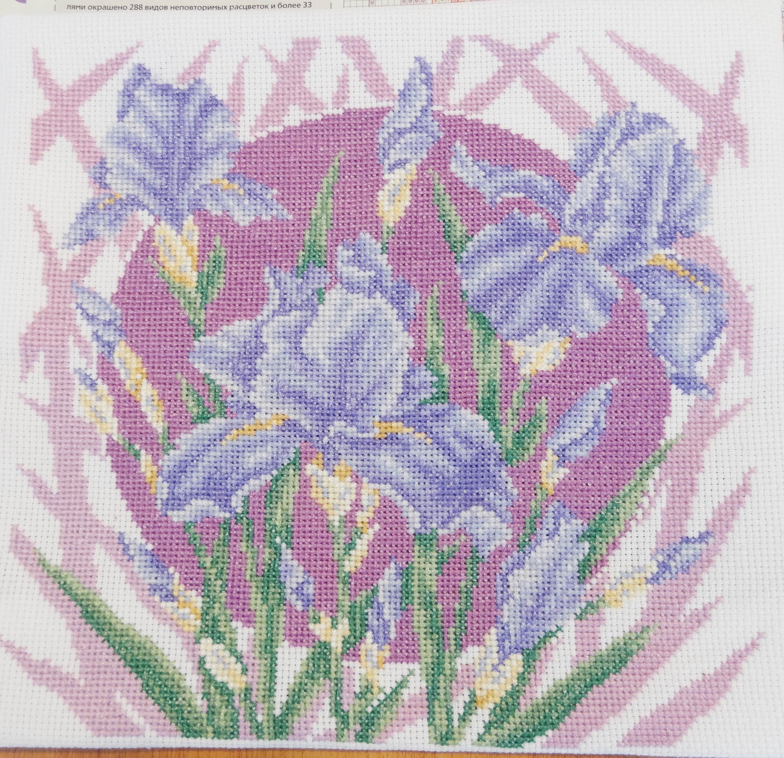 Схемы ирисов. Риолис нарциссы ирисы гладиолусы. Лонгстич Ирис. Схема вышивки р ОЛИС ирисы. Вышивка крестом Риолис синие ирисы.